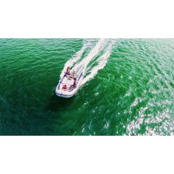 Honwave T27 IE + Honda BF6-SHNU 