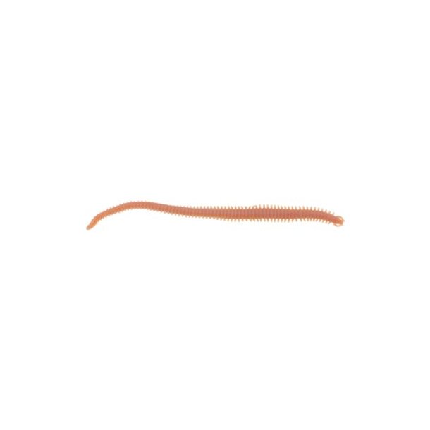 GULP ALIVE SANDWORM NATURAL 6" big bag