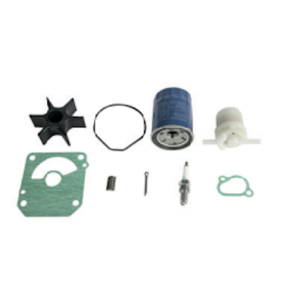 Services�t, 100 timer (BF175D, BF200D,BF225D, BF250D