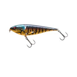 Zilla Limited Edition Gift Box