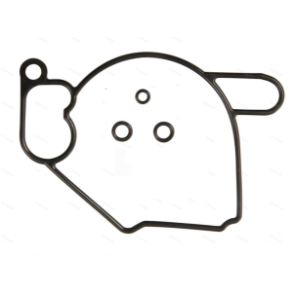 Pakningss�t for karburator