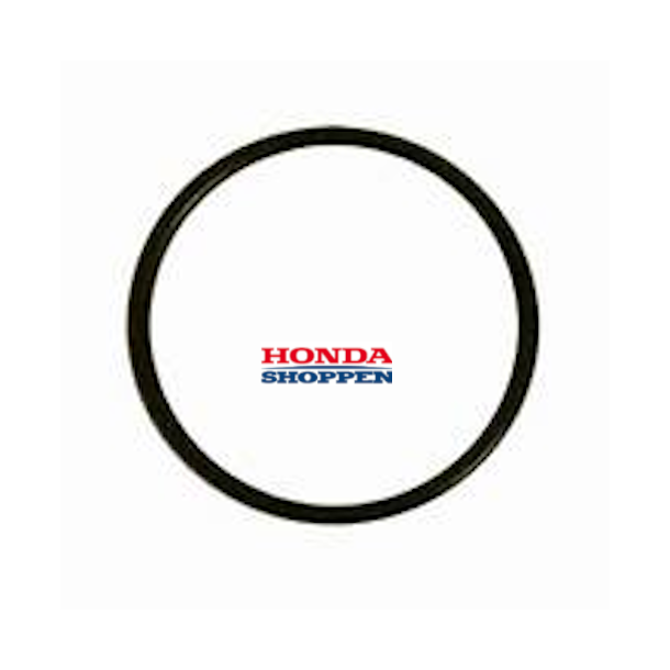 O-ring