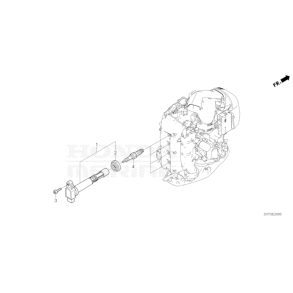 19 T�ndspoler & t�ndr�r