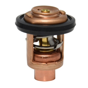 Termostat (BF75-BF80-BF90-BF100-BF115-BF135-BF150)