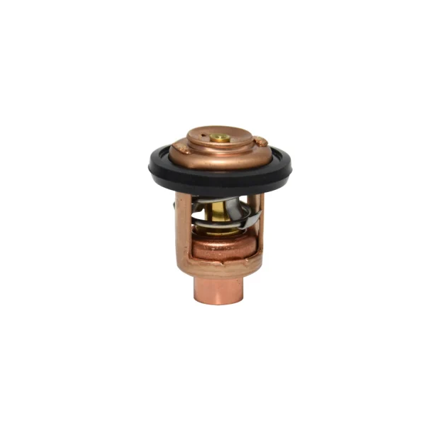 Termostat, (BF300-BF350)