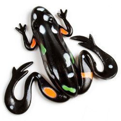 Swimming Frogs