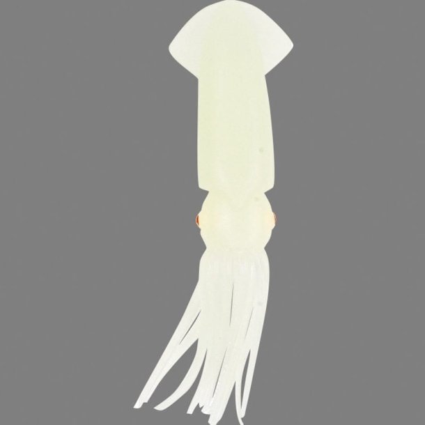 Luminous Squid 