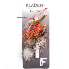 Maxximus Fluer Coast 3