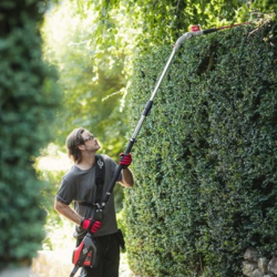 Teleskop stangh�kkeklippe 82PHT32