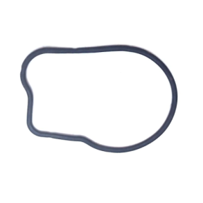 O-ring for vandpumpe