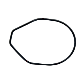 O-ring, vandpumpe