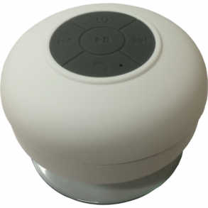 Shakespeare BS-2 Bluetooth H�jttaler