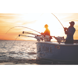 Optimum TS Downrigger