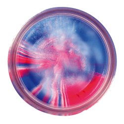 POWERBAIT SELECT TROUT GARLIC