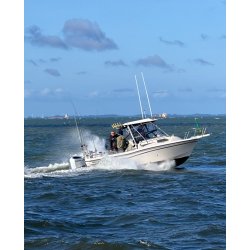 GRADY WHITE 226 SEAFARER WALKAROUND  M/ 250 HK honda - v6 