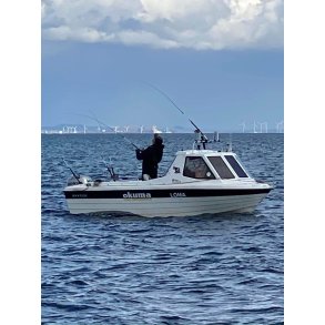 Warrior PRO ANGLER 165 - 75 HK Honda