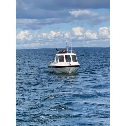Warrior PRO ANGLER 165 - 75 HK Honda