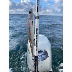 Warrior PRO ANGLER 165 - 75 HK Honda