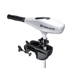 Riptide Endura C2 55 42"