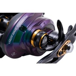 SALTY STAGE CONCEPT-FREE