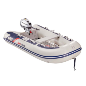 Honwave T25 AE + BF6SHNU