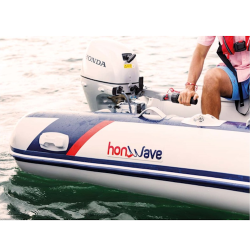 Honwave T30 AE + BF10DK SHU