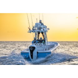 BF350A UDU, Grand Prix White