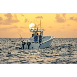 BF350A UDU, Grand Prix White